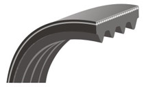 PIX-X'ceed ® EL ELASTICATED BELT (PJ) 